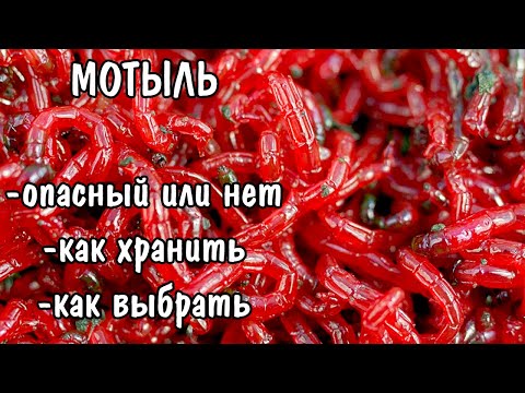 Видео: МОТЫЛЬ. ОПАСНЫЙ КОРМ?? КАК ХРАНИТЬ И КАК ВЫБРАТЬ.
