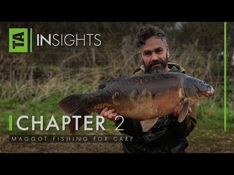 Видео: Ловля карпа на опарыша | TA|Insights | Том четвёртый | Глава вторая | Газ Фархэм | Ловля карпа