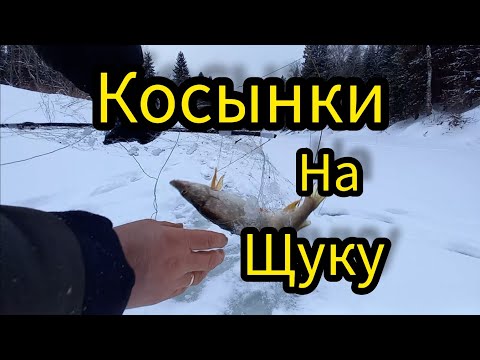 Видео: ВОТ ЭТО ДА. СЛОМАЛО ПРУТИК. СНОВА ГОЛАВЛИ. РЫБАЛКА НА КОСЫНКИ.