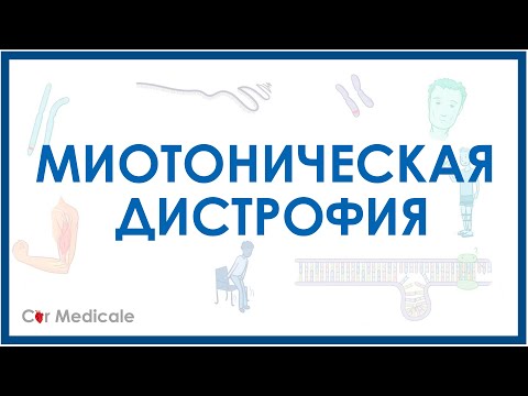 Видео: Миотоническая дистрофия - механизм развития, причины, клинические проявления