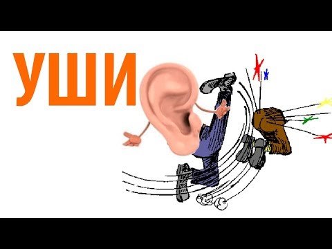 Видео: Уши при подводной охоте. Обеспечение безопасности.