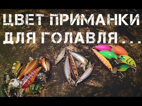 Видео: ЦВЕТ ПРИМАНКИ ДЛЯ ГОЛАВЛЯ!!! Для начинающих. . .