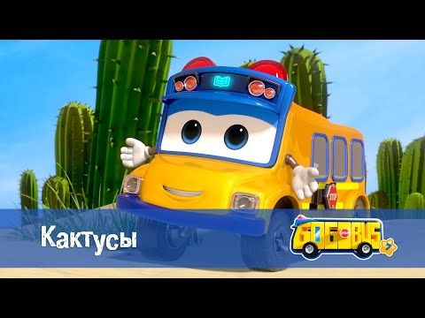 Видео: 🚌Школьный автобус Гордон. Сезон 7 - Серия 23.Кактусы - Мультфильм