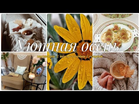 Видео: 🍁 Уютный осенний день🕯мотивация на уборку 🍂 венские вафли с инжиром 🍓🍌покупки для дома