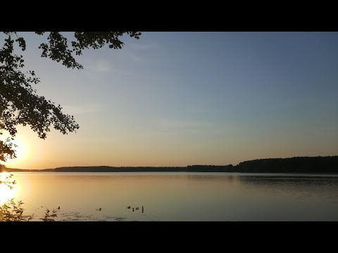 Видео: Рыбалка с лодки в Десногорске. 16.06.2020.