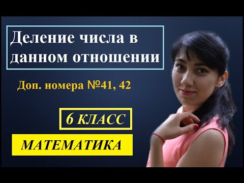 Видео: П. 1.3. Доп. номера  41, 42.