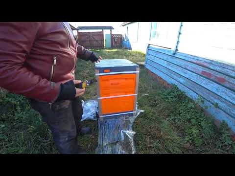 Видео: Улей ППУ медведь 10 рамочный. Распаковка.