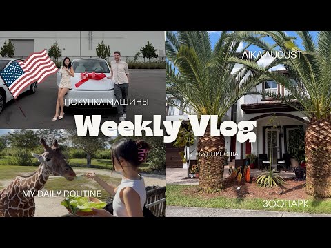 Видео: VLOG: Зоопарк в Майами | кормлю жирафа🦒покупка машины в Америке 🇺🇸 
