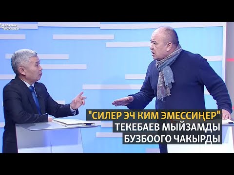 Видео: "Силер эч ким эмессиңер". Текебаев мыйзамды бузбоого чакырды