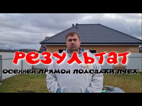 Видео: ОБЪЕДИНЕНИЕ ПЧЕЛИНЫХ СЕМЕЙ ОСЕНЬЮ.ПРЯМАЯ ПОДСАДКА ПЧЕЛ. МЕТОД РАБОТАЕТ НА100%.КЛУБ У ЗАДНЕЙ СТЕНКИ.