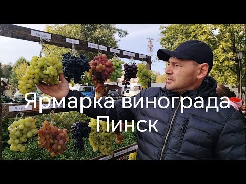 Видео: Ярмарка винограда в Пинске 2025 первая часть. 