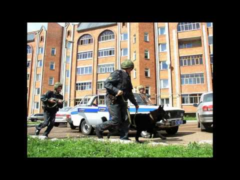 Видео: ОВО Долг и Честь