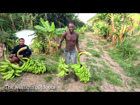 Видео: Меня пригласили на ферму моих друзей в глуши.