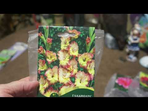 Видео: Совсем немного покупок в Чижике и Фикс прайсе .