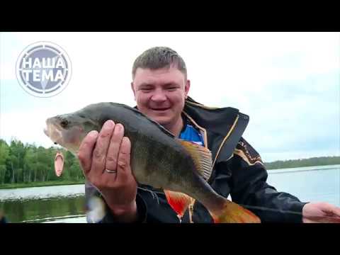 Видео: Окунь на углях. ПОЛЕВАЯ КУХНЯ