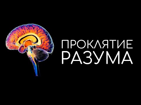 Видео: Почему умные люди выбирают одиночество: тёмная сторона интеллекта!