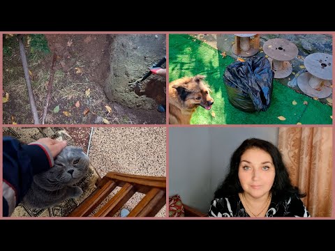 Видео: ЭТО УЖАС! БДИТЕЛЬНЫЕ СОСЕДИ. КОПАЕМ ЯМУ.