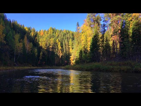 Видео: Река Серебряная. Возвращение на родину