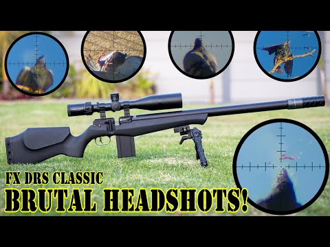 Видео: Жестокие выстрелы в голову! С FX DRS Classic | Обзор | Пули JTS 18,1 гран | Борьба с вредителями ...