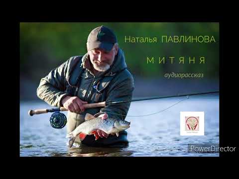 Видео: Аудиорассказ "МИТЯНЯ"⚪Н.Павлинова