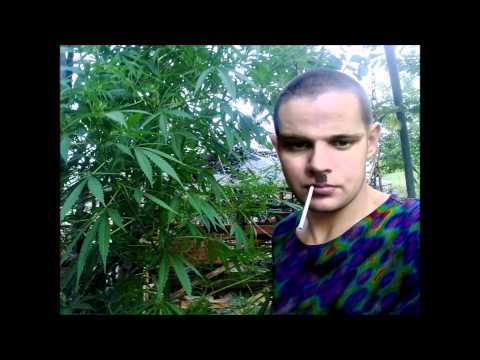 Видео: babangida - смертельное оружие