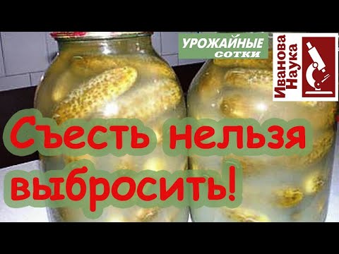 Видео: Как не ОТРАВИТЬСЯ? Домашние консервы: съесть или выбросить? Ботулизм или что-то другое?