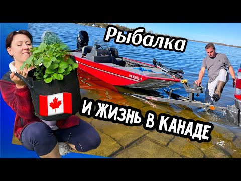 Видео: Рыбалка и жизнь в Канаде🇨🇦//высаживаем рассаду// рыбачим // готовим кушать