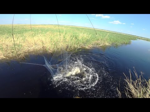 Видео: Голубая мечта лопнула по швам от этих дураков.