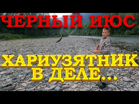 Видео: Чёрный июс 2023: "Хариузятник в деле!!!"