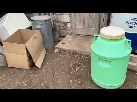 Видео: АДЛЕР жақсы туама АВСТРАЛОППА #австралоп#адлер#курятникдлякурнесушек