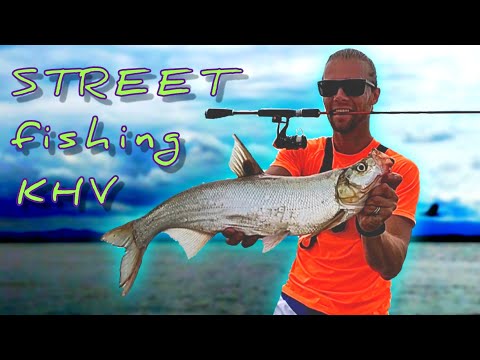 Видео: Рыбалка на спиннинг в Центре Города (2) Верхогляд на Metal Jig!