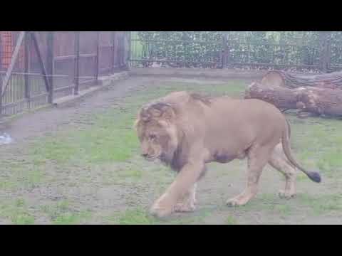 Видео: IQEC4768 11 11 2025 Видео от Ивана