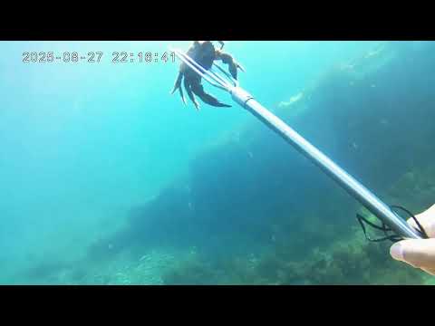 Видео: FREE DIVNING Маслен нос/Приморско/до потънали гемии.