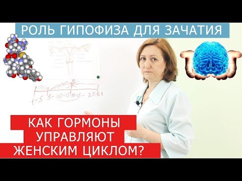 Видео: Как гормоны влияют на зачатие? Эндометриоз и беременность.