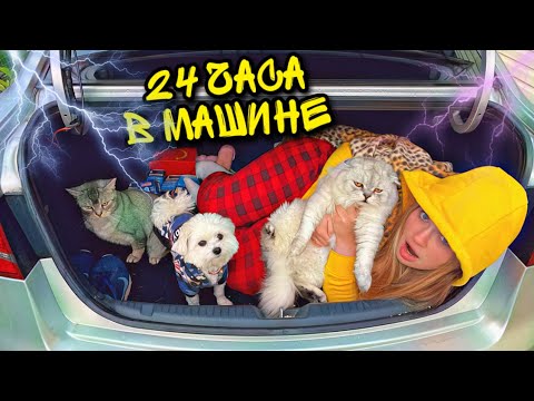 Видео: 24 часа В МАШИНЕ С КОТАМИ в ГРОЗУ! ЗАГЛОХЛИ БЕЗ БЕНЗИНА!