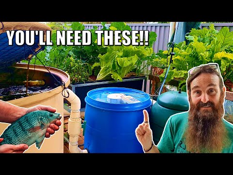 Видео: 9 основных компонентов аквапоники — проектирование системы