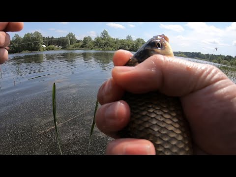 Видео: МОРМЫШИНГ , ЛОВЛЯ КАРАСЯ . . .