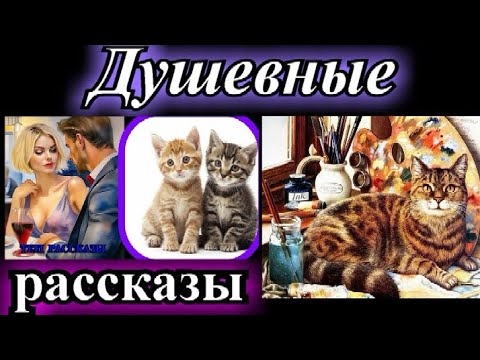 Видео: ДУШЕВНЫЕ РАССКАЗЫ❤️ЛИСТ БУМАГИ❤️РЕСТОРАН❤️ПОЗДНИЙ ЗВОНОК❤️ПОСТОЯЛЕЦ@TEFI РАССКАЗЫ
