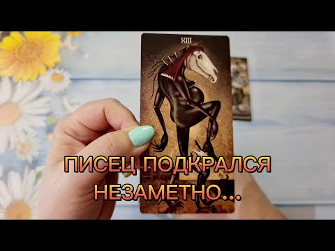 Видео: СОПЕРНИЦА В ШОКЕ! ОТЧЕГО ОНА БЬЕТСЯ В ПРИПАДКЕ?