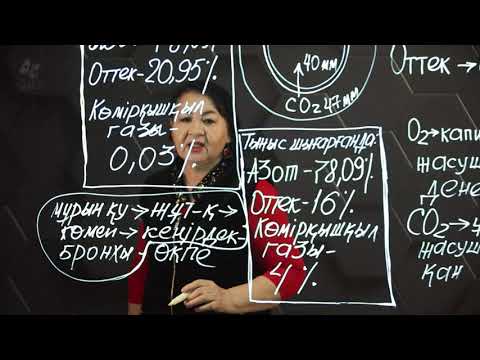Видео: Газ алмасу. 8 сынып.