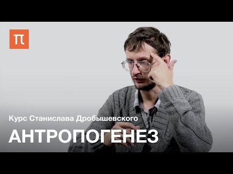 Видео: Антропогенез — курс Станислава Дробышевского на ПостНауке