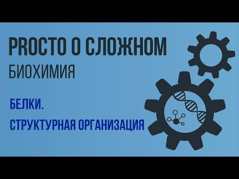 Видео: PROСТО О СЛОЖНОМ. Белки и их структуры. Биохимия №1