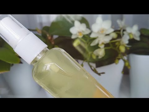 Видео: СРАЗУ орхидеи СБРЫЗНУТЬ! КОРНИ орхидеи ПРОБЬЮТСЯ! ЛИСТЬЯ орхидеи ВОЗОБНОВЯТСЯ! орхидеи ПРИБОДРЯТСЯ!