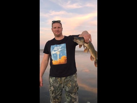 Видео: Рыбалка х. Садки 2019.Щука, поппер, катер "Крым", лиман Рясный, природа,Ямаха 40.