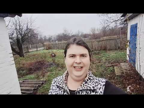 Видео: Зачем куда-то двигаться когда все под рукой 