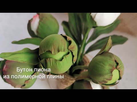 Видео: Бутон пиона из полимерной глины (повтор видео, съёмка более медленно)