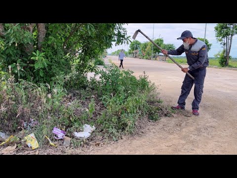 Видео: Я не мог поверить, что это тротуар в образцовой части города, полный травы, мусора и песка.