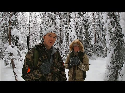 Видео: День 26. Настоящий зимний комар. Длительный поход в короткий зимний день. Возвращение в темноте.