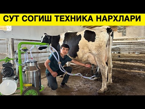 Видео: СУТ СОГИШ ТЕХНИКА НАРХЛАРИ ФЕРМЕРЛАР ДАВРИ КЕЛДИ