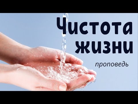 Видео: Чистота жизни  С.Елисеев  Проповедь МСЦ ЕХБ